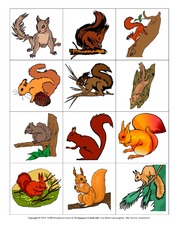 Eichhörnchen-Memo-Aufdeckspiel-2.pdf